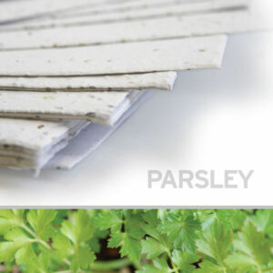 You can plant this 11 x 17 White Parsley Plantable Seed Paper to grow parsley!