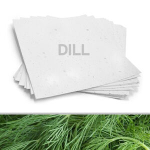 Grow a garden of delicious dill with this 8.5 x 11 White Dill Plantable Seed Paper.