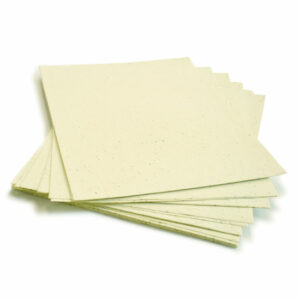 When this 8.5 x 11 Pastel Yellow Plantable Seed Paper is planted, it grows a bouquet of wildflowers.