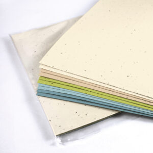 8.5 x 11 Wildflower Seed Paper Sheets